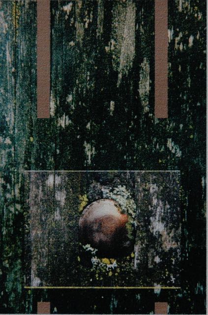 Loading Image