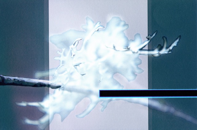 Loading Image